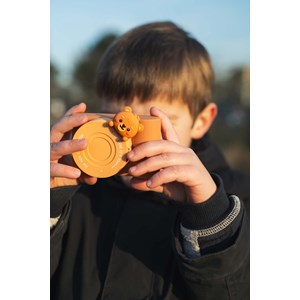 Appareil photo urbain ours