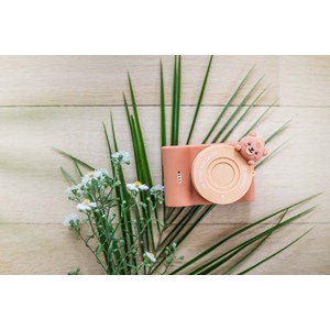 Appareil photo urbain ours