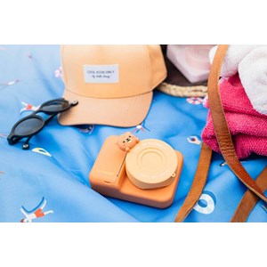 Appareil photo instantané ours