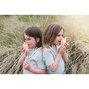 Walkie talkie - dino rose x dino rose