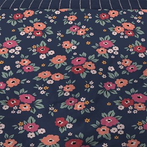Housse de couette 240x220 charlotte + 2