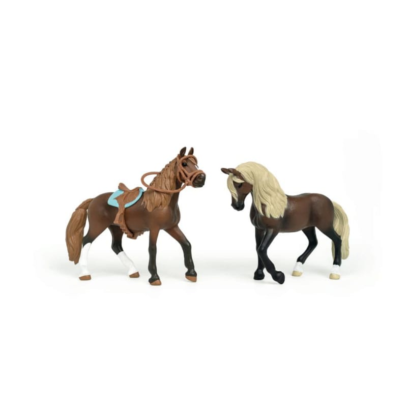 Mes premiers chevaux - paso péruvien