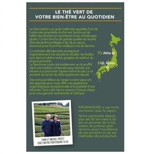 Genmaicha de uji infusettes