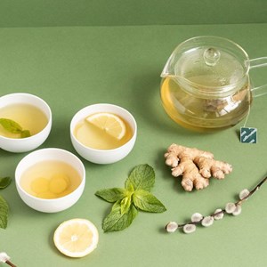 Sencha de uji infusettes