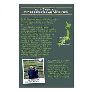 Sencha de uji infusettes