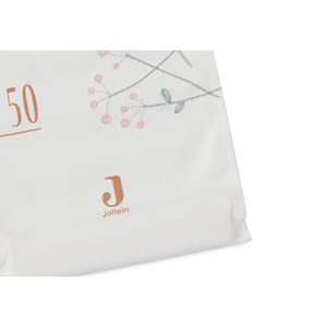 Toise murale lovely birds