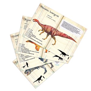 Coffret de 21 magnets dinosaures