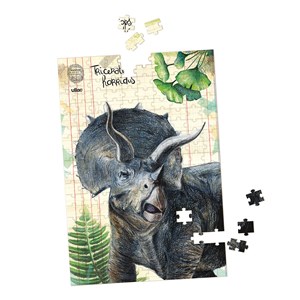Coffret 3 puzzles dinosaures et posters