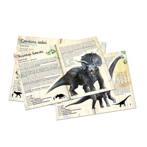 Coffret 3 puzzles dinosaures et posters