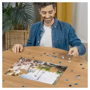 500p puzzle le printemps a paris