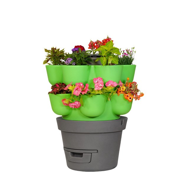 Wormgarden vert 2 jardinières