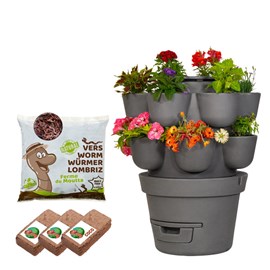 Wormgarden gris 2 jardinières