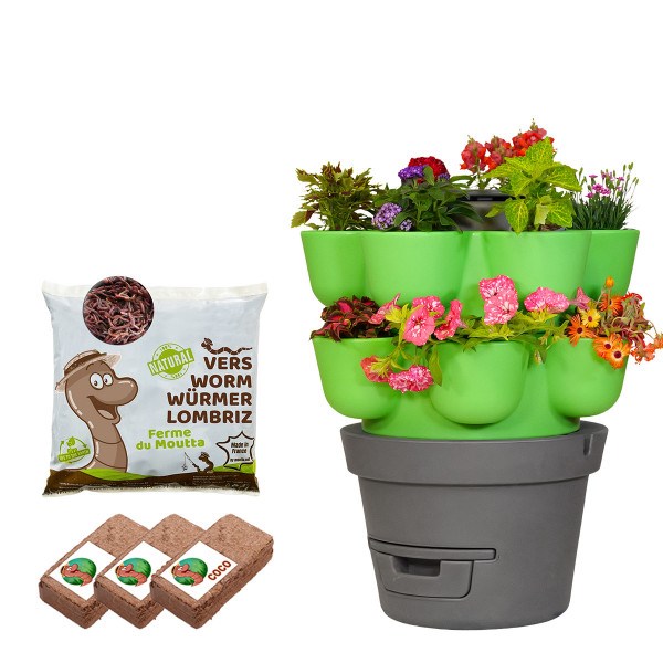 Wormgarden vert 2 jardinières