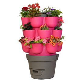 Wormgarden fuchsia 3 jardinières