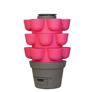 Wormgarden fuchsia 3 jardinières