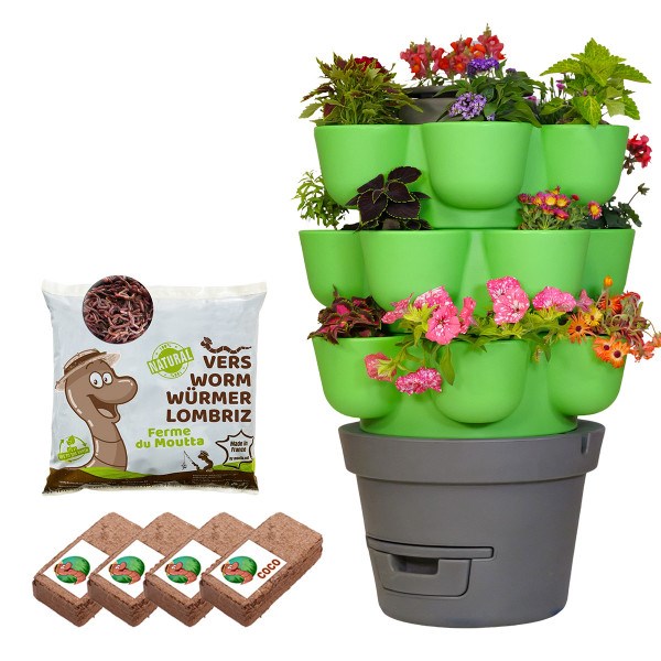 Wormgarden vert 3 jardinières