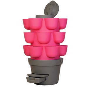 Wormgarden fuchsia 3 jardinières