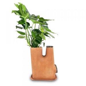 Lombricomposteur transfarmers