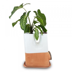 Lombricomposteur transfarmers blanc