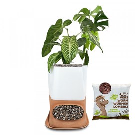 Lombricomposteur transfarmers blanc