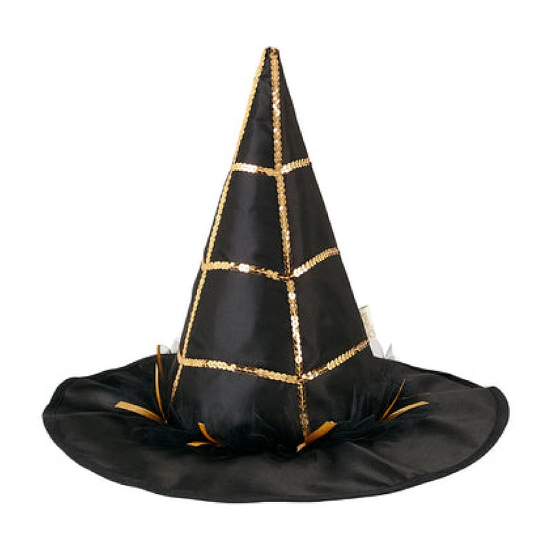 Chapeau de sorcier evilian