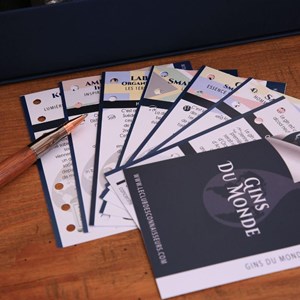 Coffret dégustation gins du monde