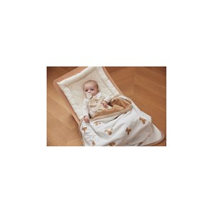 Couverture berceau jersey 75x100cm teddy