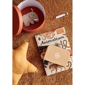 Mallette de docteur naturel kid's hub