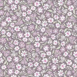 Papier peint  marguerites prune