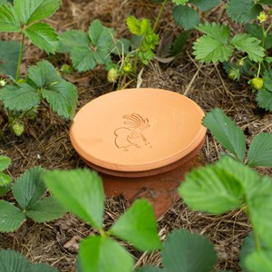 2 ollas à enterrer 3l