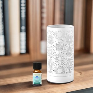 Diffuseur par chaleur douce calorya n°15