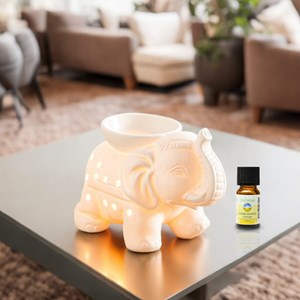 Brûle parfum série céramy - tandor blanc