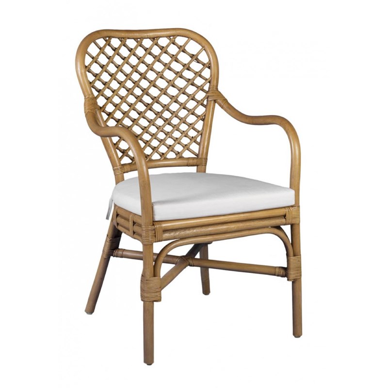 Fauteuil avec coussin rotin rotin marron