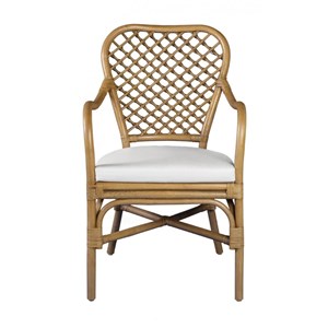 Fauteuil avec coussin rotin rotin marron