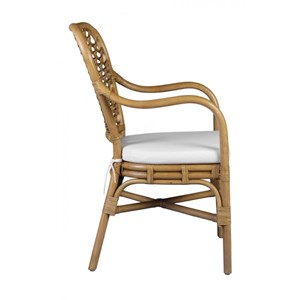 Fauteuil avec coussin rotin rotin marron