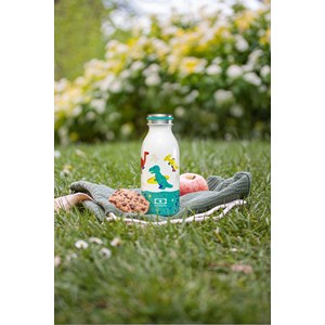 Bouteille isotherme enfant 350ml dino