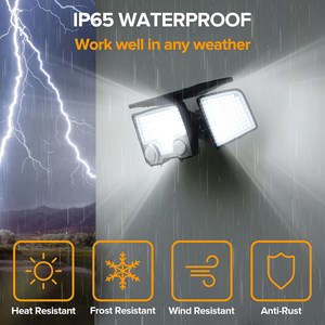 Lot de 2 spots solaires noir raylite