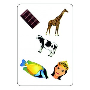 Tam tam safari - cp niveau 2