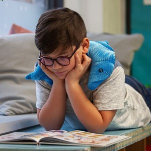 Dauphin lesté manimo velours