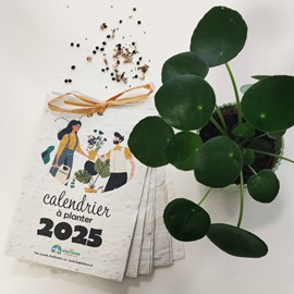 Calendrier à planter 2025