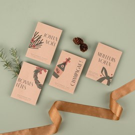 Pack noël chic • 8 sachets de graines