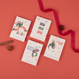 Pack noël groovy • 8 sachets de graines