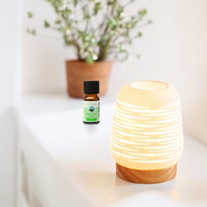 Diffuseur par chaleur douce calorya n°16