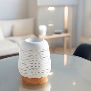 Diffuseur par chaleur douce calorya n°16