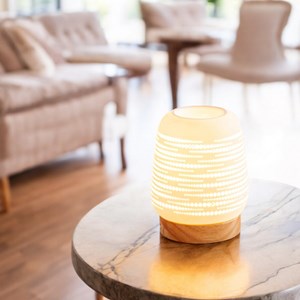 Diffuseur par chaleur douce calorya n°16