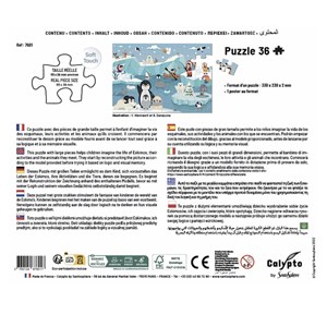 Puzzle sentosphere bleu