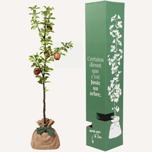 Pommier - idée cadeau