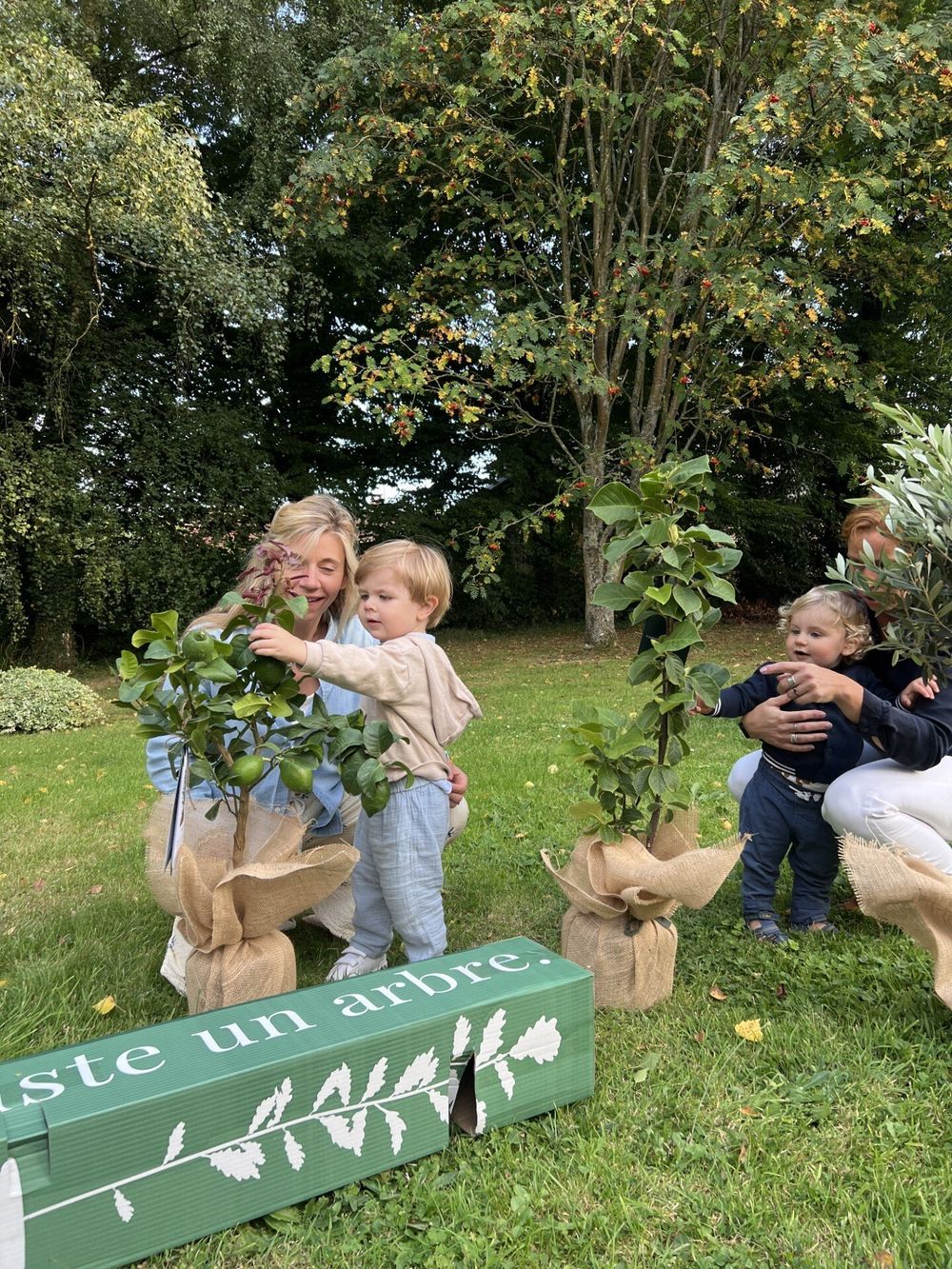 Justeunarbre – Pommier reine des reinettes Justeunarbre – Pommier reine des reinettes