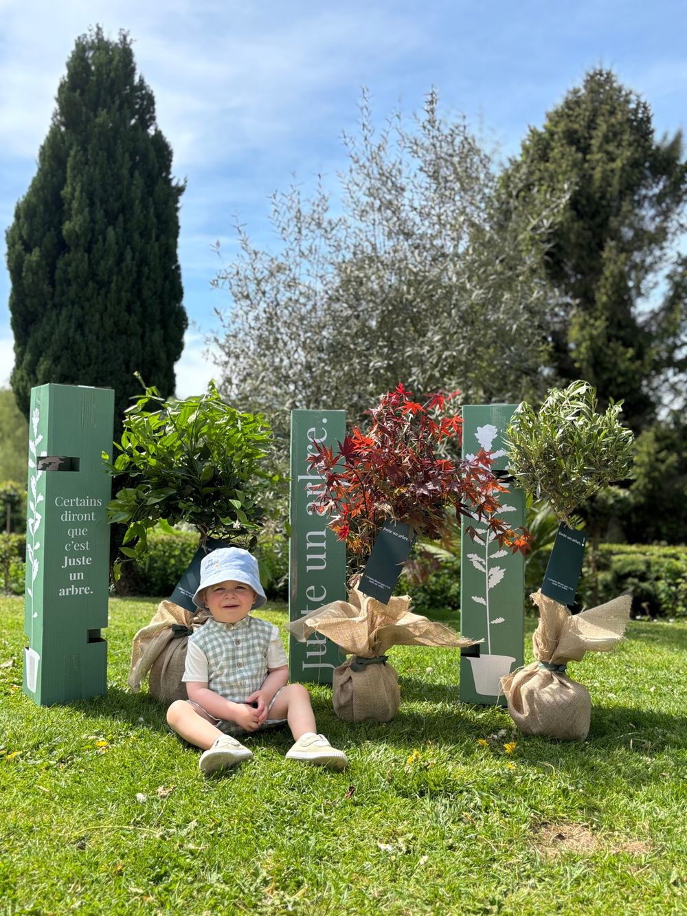 Justeunarbre – Pommier reine des reinettes Justeunarbre – Pommier reine des reinettes