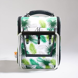 Cubicool simple standard jungle